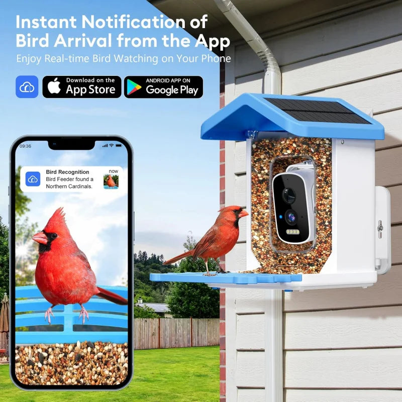 Smart Bird Feeder with Camera – Solar Powered, AI Bird ID & HD WiFi